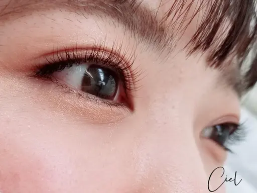 《ご新規様》フラットラッシュ120本(シングルオフ無料) ¥5800