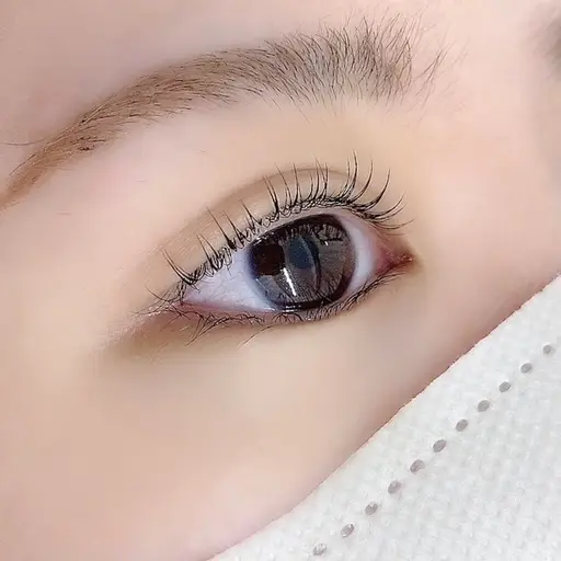 120分⭐まつげパーマモデル募集⭐