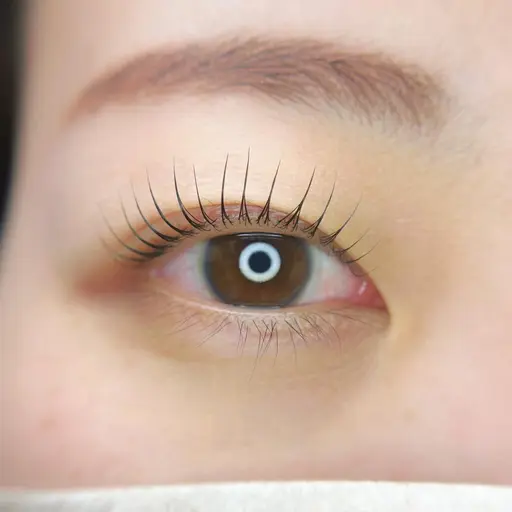 《ミニモ学割》23歳以下限定🩵ラッシュリフト※補足必読