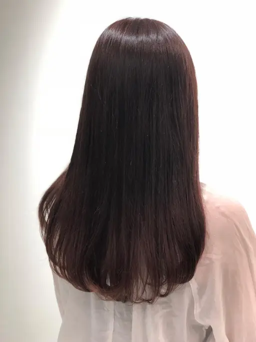毛量調整のみドライカット