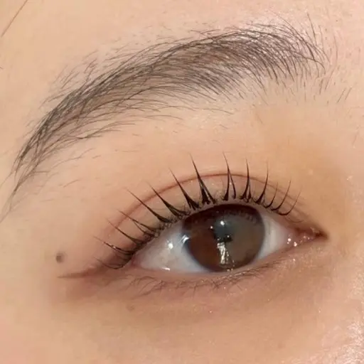 🤍モデル募集中🤍まつ毛パーマ💖コーティング付き✨