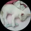 にこなつ☺️のプロフィール画像