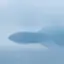 はなのプロフィール画像