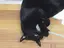 ちひろのプロフィール画像