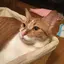 友紀のプロフィール画像