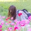 さえのプロフィール画像