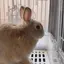つーのプロフィール画像