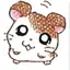かれんのプロフィール画像