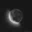 夜鷹のプロフィール画像