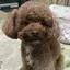 risaのプロフィール画像