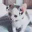 yunのプロフィール画像