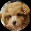 emiのプロフィール画像