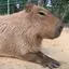 ゆうのプロフィール画像
