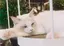 naoのプロフィール画像