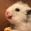 ひなのプロフィール画像