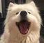 ayのプロフィール画像