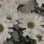 柚希のプロフィール画像