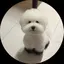 おもちのプロフィール画像