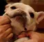 maのプロフィール画像