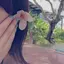 anjuのプロフィール画像