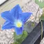 たじのプロフィール画像