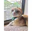 かおりのプロフィール画像