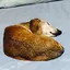 まいくんのプロフィール画像