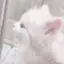 ໒꒱のプロフィール画像