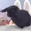 miyuのプロフィール画像