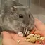 愛香のプロフィール画像