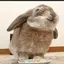 sanaeのプロフィール画像