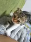 ゆーこのプロフィール画像