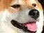 かなざわのプロフィール画像