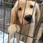 ままみのプロフィール画像
