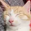 由香利のプロフィール画像
