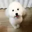 みっきーのプロフィール画像
