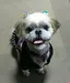 すもも☆のプロフィール画像