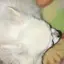 hskのプロフィール画像