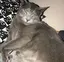 優子のプロフィール画像