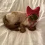 nyのプロフィール画像
