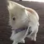 あ♥のプロフィール画像