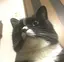 みのプロフィール画像
