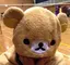 ぽよのプロフィール画像