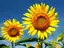 summerのプロフィール画像