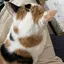 美咲のプロフィール画像