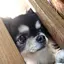 ゆいのプロフィール画像