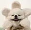 知佳のプロフィール画像