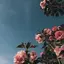 mのプロフィール画像
