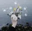 Ku *のプロフィール画像