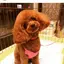 みぃこのプロフィール画像